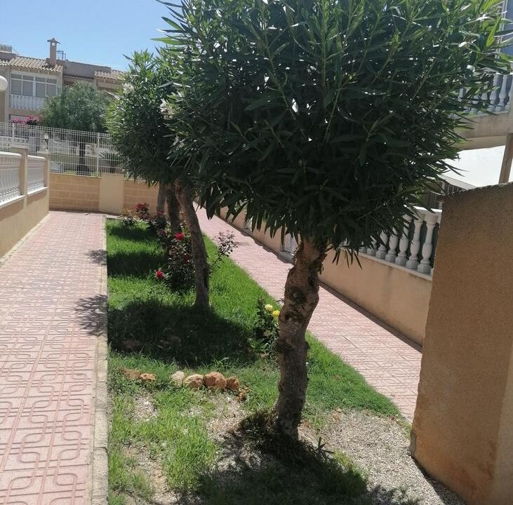 penthouse-torrevieja-m282652-18