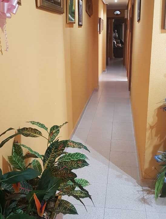 apartment-la-mata-dh-p2632-5