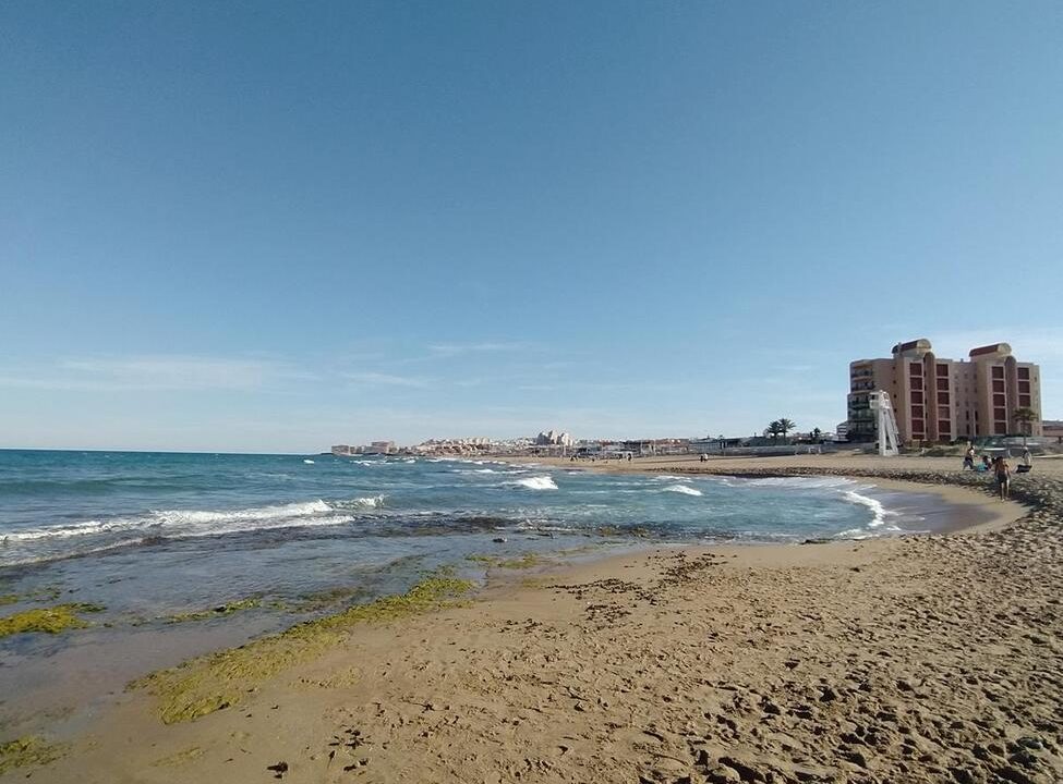 apartment-torrevieja-apa229-33